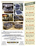 Blueberry Info Sheet